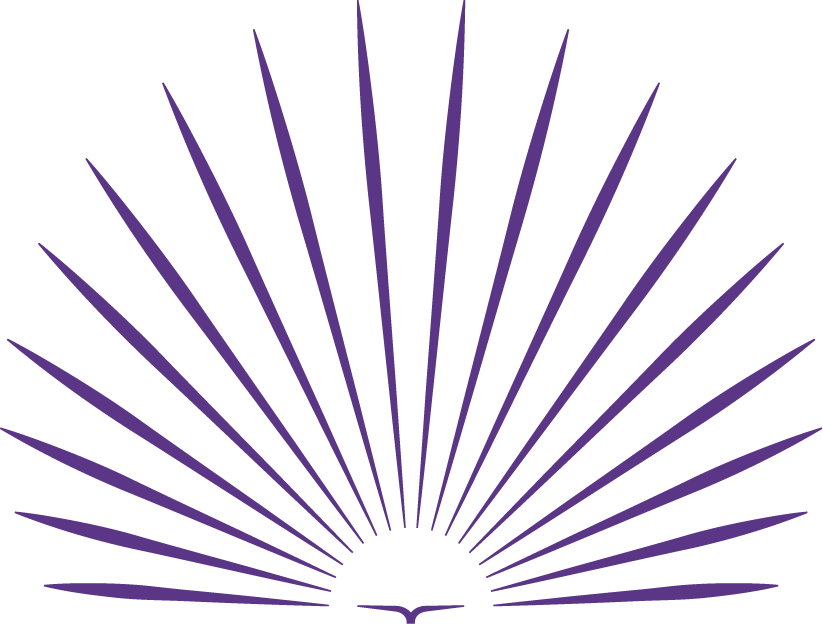 éntervező purple dark emblem